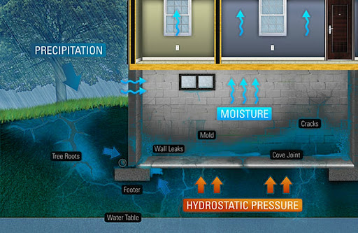 Basement leak repair, waterproofing, waterproofing Whangarei