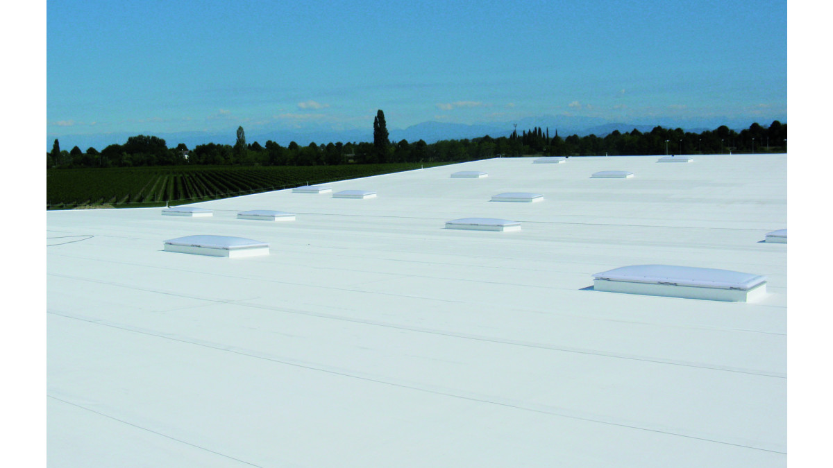 TPO Membrane,TPO,waterproofing, waterproofing Whangarei